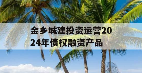 金乡城建投资运营2024年债权融资产品