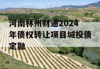 河南林州财通2024年债权转让项目城投债定融