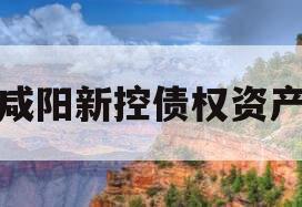 咸阳新控债权资产