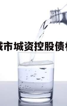 邹城市城资控股债权项目