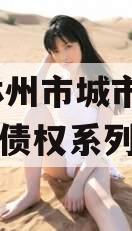 河南林州市城市投资2024年债权系列产品