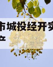 周口市城投经开实业债权资产