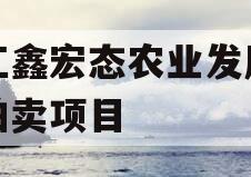 内江鑫宏态农业发展债权拍卖项目