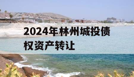 2024年林州城投债权资产转让