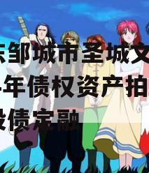 山东邹城市圣城文旅2024年债权资产拍卖城投债定融