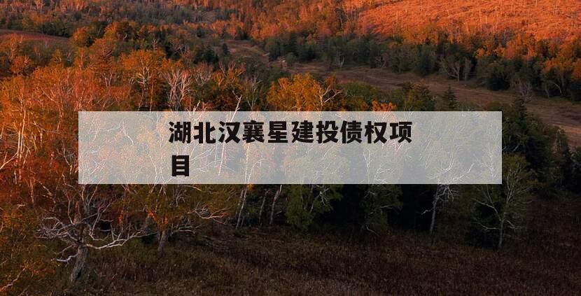 湖北汉襄星建投债权项目