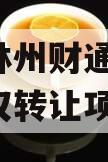 河南林州财通2024年债权转让项目