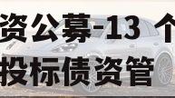 国资公募-13 个月城投标债资管