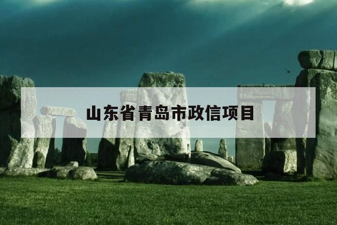山东省青岛市政信项目