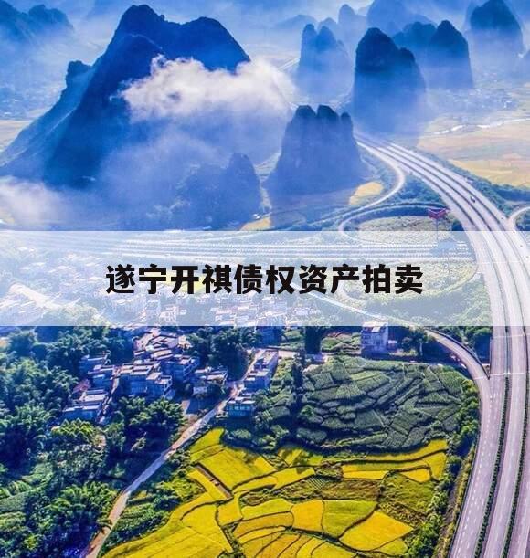 遂宁开祺债权资产拍卖