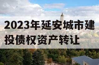 2023年延安城市建投债权资产转让