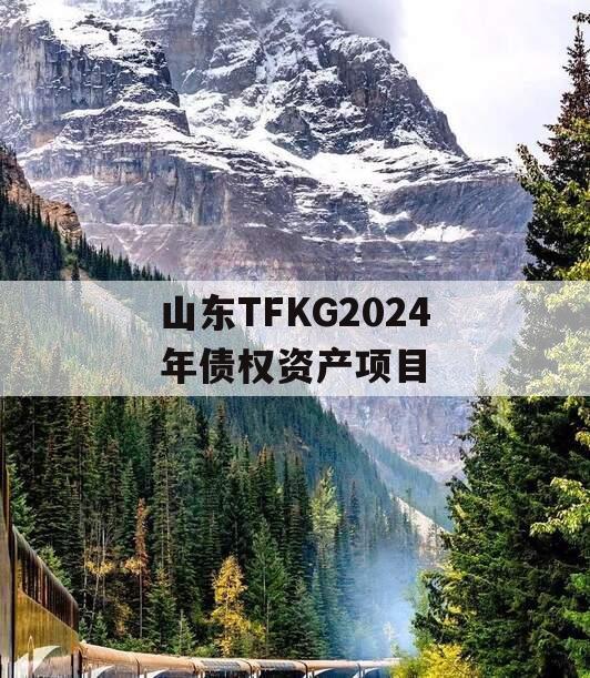 山东TFKG2024年债权资产项目