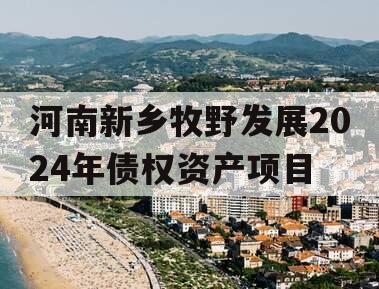 河南新乡牧野发展2024年债权资产项目