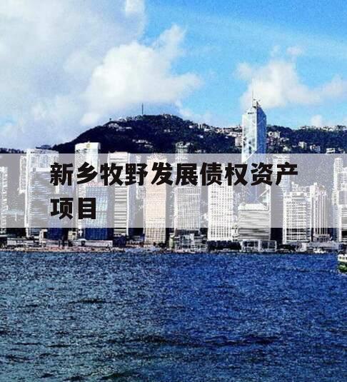新乡牧野发展债权资产项目