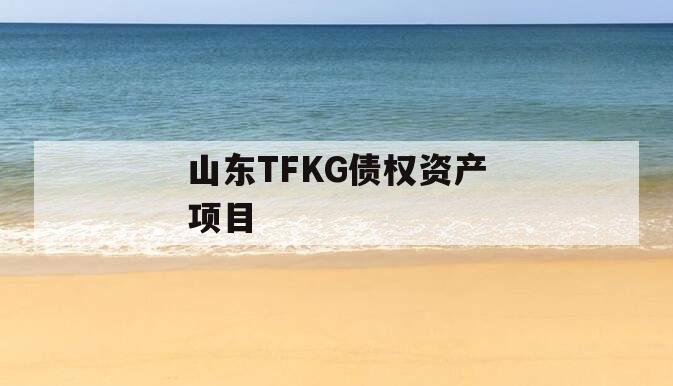 山东TFKG债权资产项目
