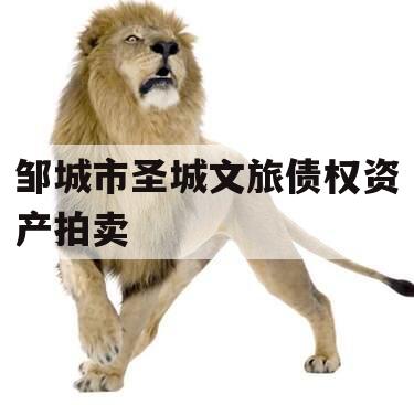 邹城市圣城文旅债权资产拍卖