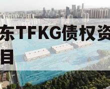 山东TFKG债权资产项目