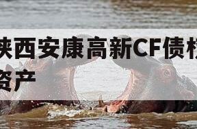 陕西安康高新CF债权资产