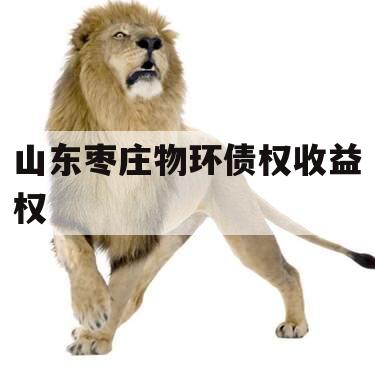 山东枣庄物环债权收益权