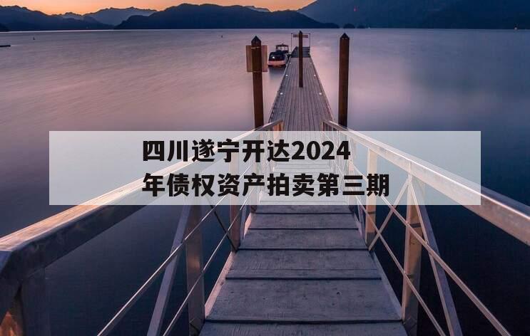 四川遂宁开达2024年债权资产拍卖第三期