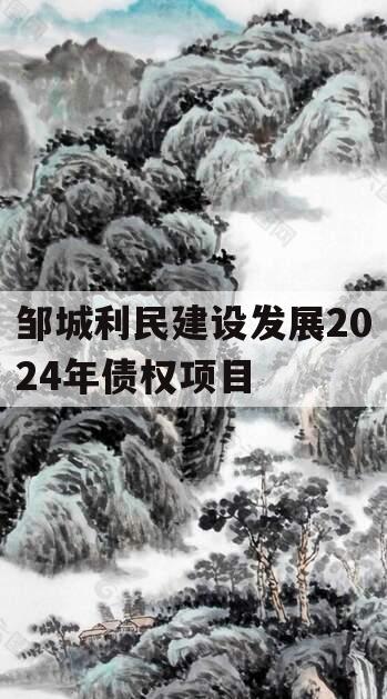 邹城利民建设发展2024年债权项目