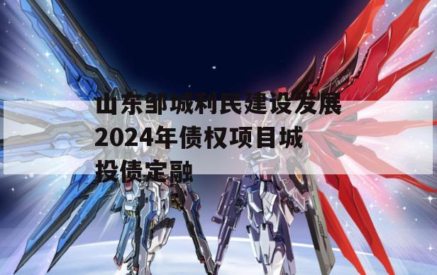 山东邹城利民建设发展2024年债权项目城投债定融