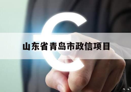山东省青岛市政信项目