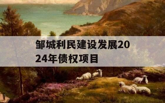 邹城利民建设发展2024年债权项目