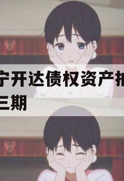 遂宁开达债权资产拍卖第三期