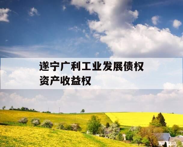 遂宁广利工业发展债权资产收益权