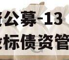 国资公募-13 个月城投标债资管