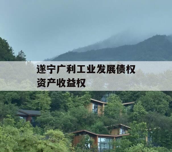 遂宁广利工业发展债权资产收益权