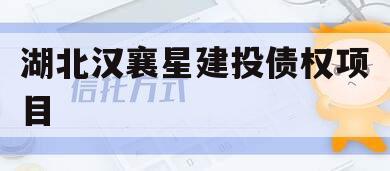 湖北汉襄星建投债权项目