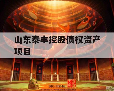 山东泰丰控股债权资产项目