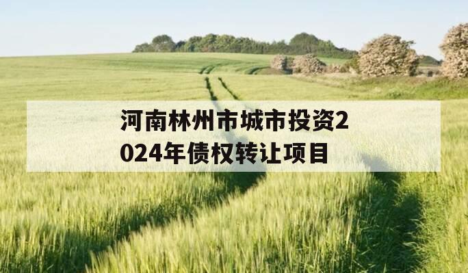 河南林州市城市投资2024年债权转让项目