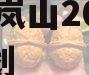 RZ新岚山2024债权计划