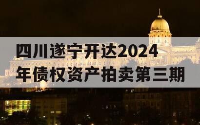 四川遂宁开达2024年债权资产拍卖第三期