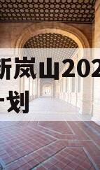 RZ新岚山2024债权计划