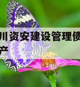四川资安建设管理债权资产