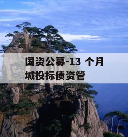 国资公募-13 个月城投标债资管