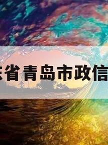山东省青岛市政信项目