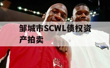 邹城市SCWL债权资产拍卖