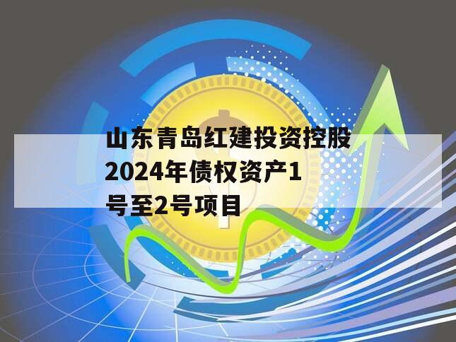 山东青岛红建投资控股2024年债权资产1号至2号项目
