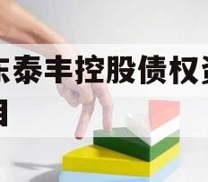 山东泰丰控股债权资产项目