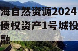 南海自然资源2024年债权资产1号城投债定融