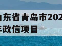 山东省青岛市2024年政信项目