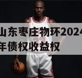 山东枣庄物环2024年债权收益权