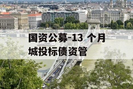 国资公募-13 个月城投标债资管