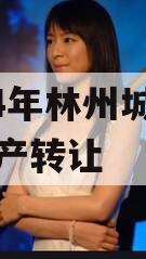 2024年林州城投债权资产转让