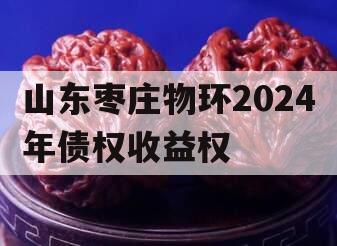 山东枣庄物环2024年债权收益权